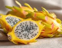 Multi-colored Dragon Fruit Seeds